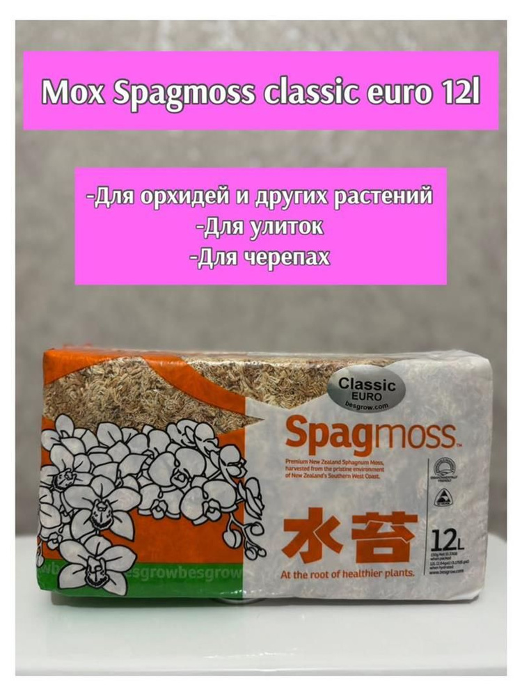 Мох #1