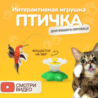 WOW-игрушки для кошки: чем развлечь, пока вы не дома