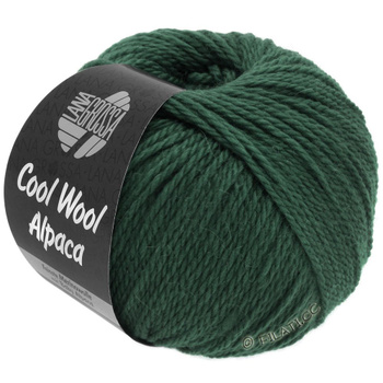 Lana Grossa COOL WOOL ALPACA 34