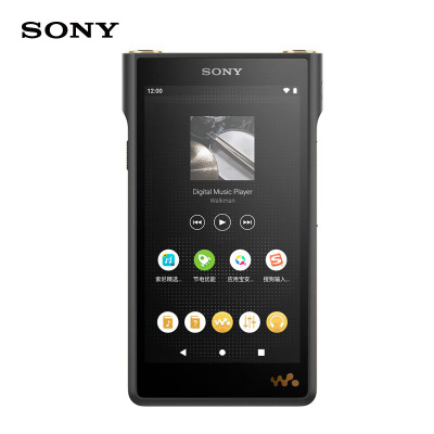 Sony NW-WM1A купить на OZON по низкой цене