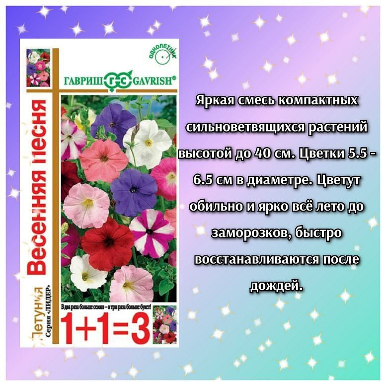 Яркая смесь компактных, сильноветвящихся, высотой до 40 см растений. Цветки 5,5-6,5 см в диаметре. Цветут обильно и ярко все лето до заморозков, быстро восстанавливаются после дождей. Используется как фоновая и балконная культура, в контейнерах, вазах, рабатках, бордюрах. Выращивают рассадным способом. Посев проводят с января по апрель, поверхностно, под стекло (после появления всходов стекло убирают). В зимние месяцы (январь-февраль) досветка обязательна. При ранних сроках посева цветение начинается в мае. Без дополнительного освещения петунию высевают не раньше марта. Всходы появляются через 7-12 дней. На постоянное место высаживают, когда минует опасность заморозков.