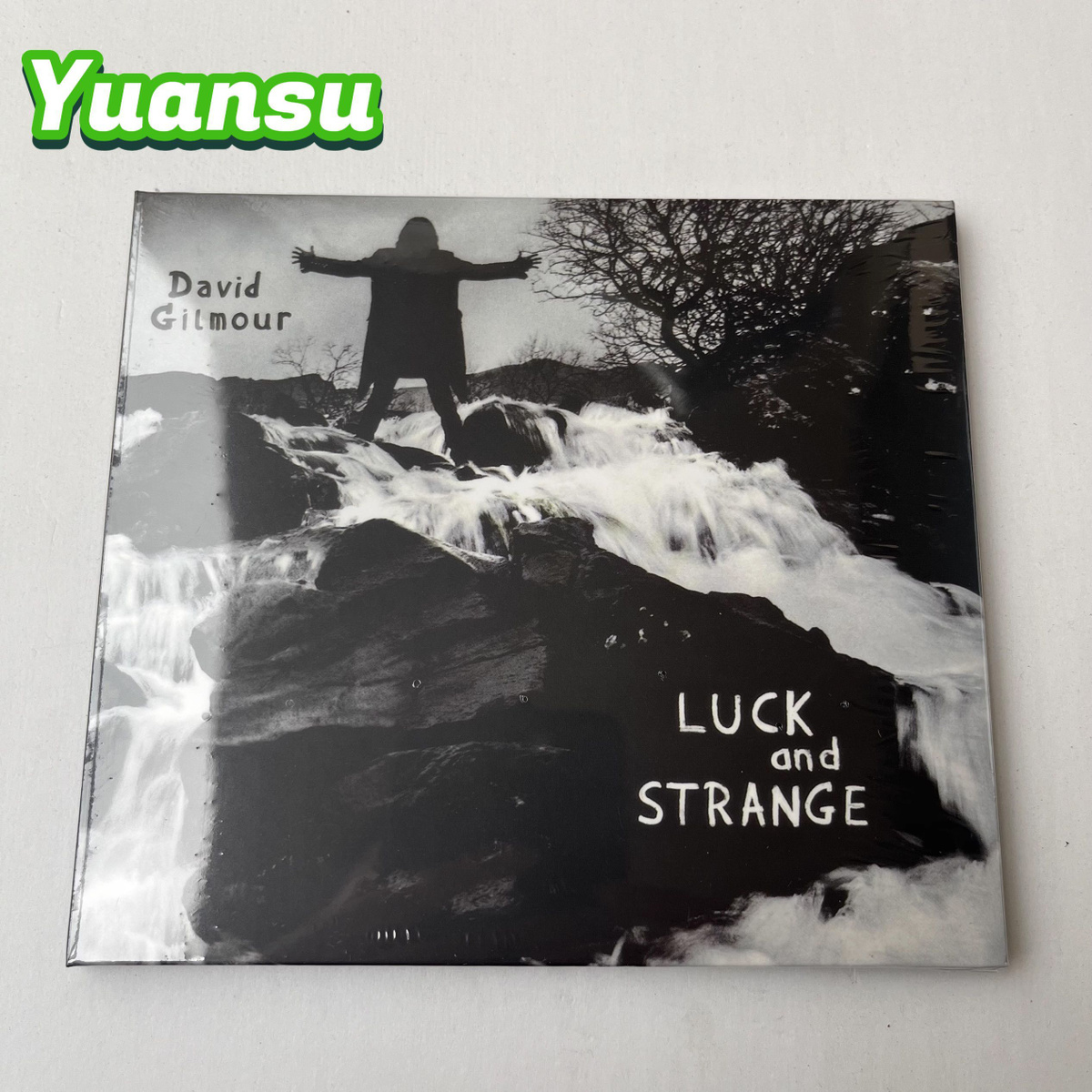 David Gilmour Luck And Strange CDпопмузыка купить на OZON по низкой цене (1743340523)