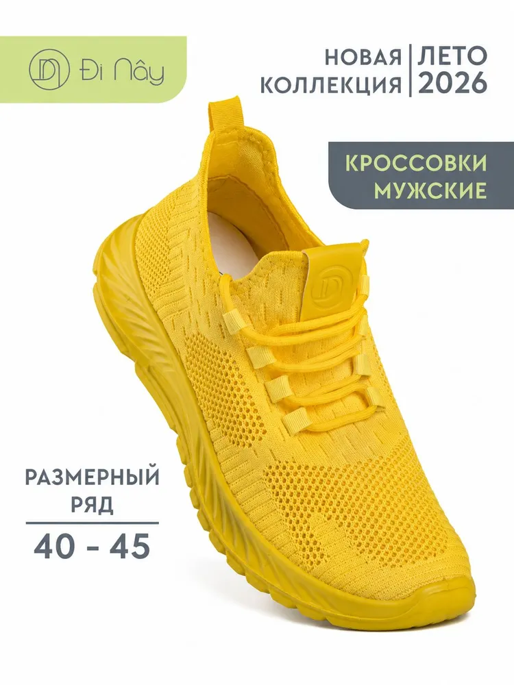 Кроссовки Di Nay мужские летние в сетку