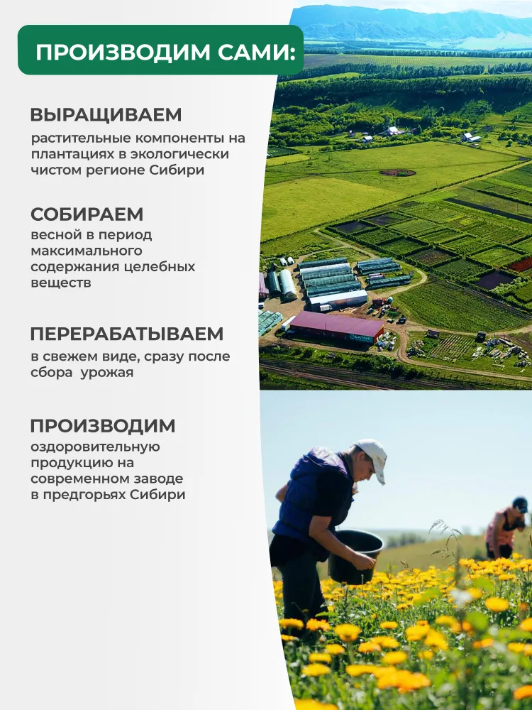 БиоКлинзинг Комплекс "Bio-Cleanzing Complex" против паразитов и гельминтов, коллоидная фитоформула, 235 мл (АРГО, ЭД Медицин), 235 мл, фото 5