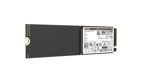 512 ГБ Внутренний SSD-диск (PC300-512GB-B)