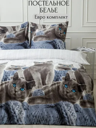 Комплект «Британцы»