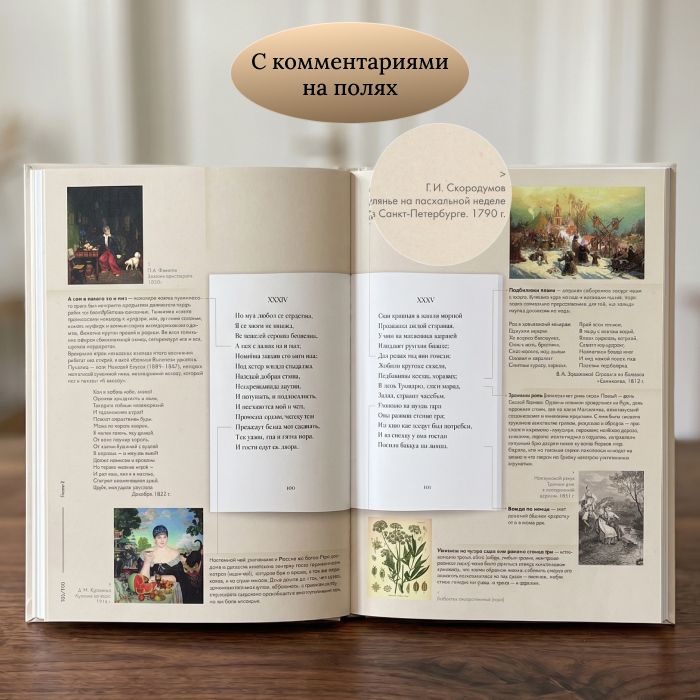 Евгений Онегин. Подробный иллюстрированный комментарий к роману в стихах. | Eugene Onegin. Detailed Illustrated Commentary on the Novel in Verse. - Ozon image 1