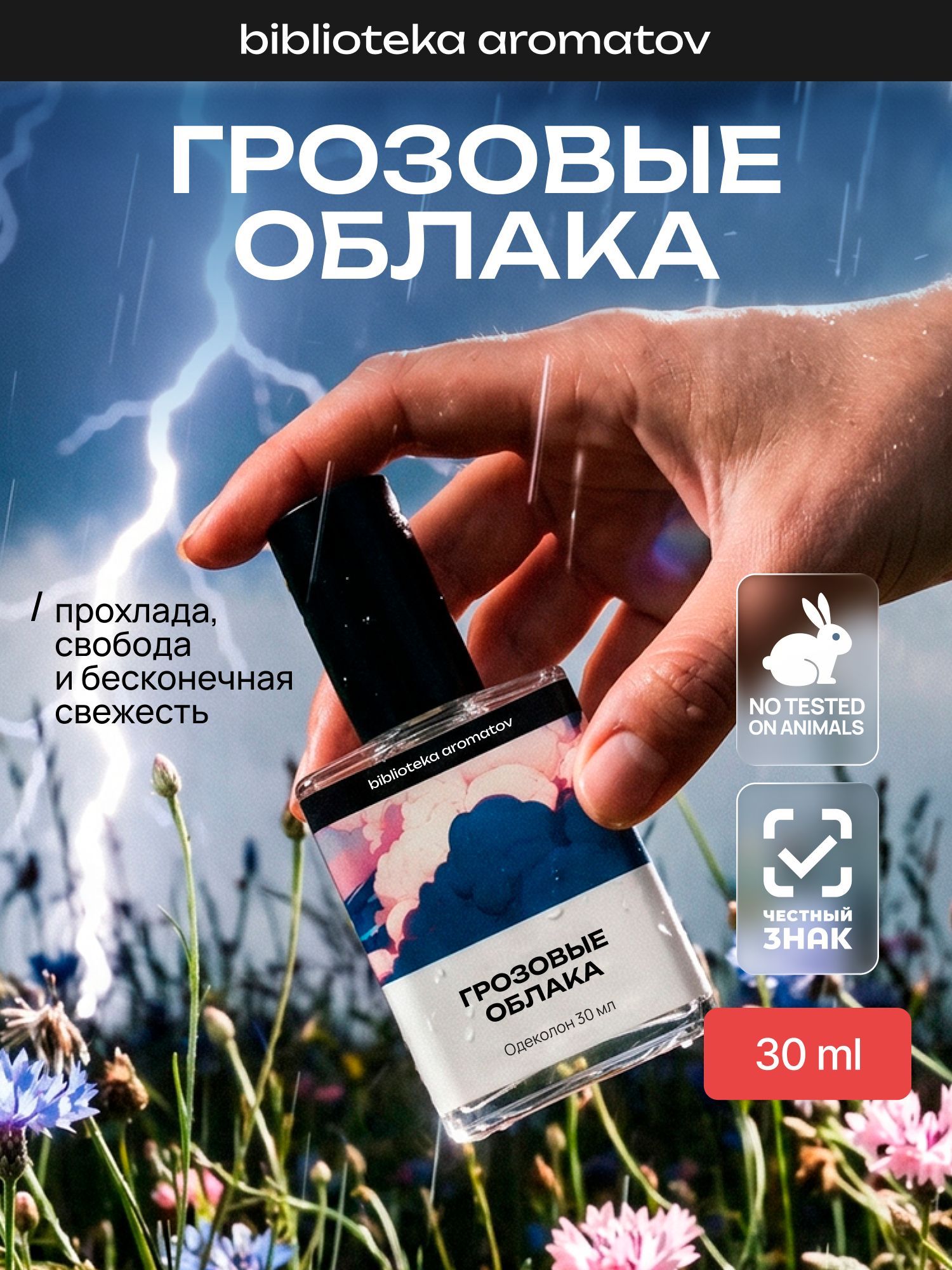 Туалетная вода женская и мужская стойкая Грозовые облака 30 мл, Библиотека ароматов
