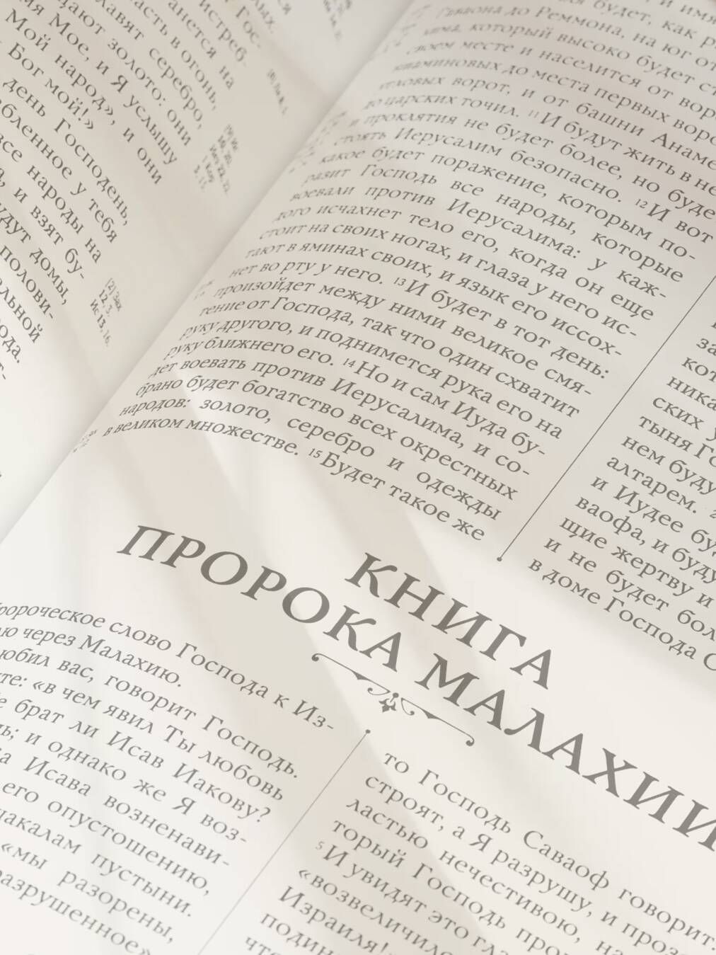 Библия. Ветхий и Новый завет. Экслюзивное оформление в экокоже | Bible. Old and New Testaments. Exclusive Eco-Leather Binding - Ozon image 6