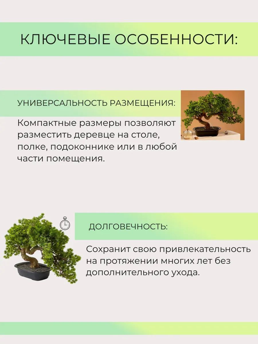 бонсай 44CM TH106164 Китай