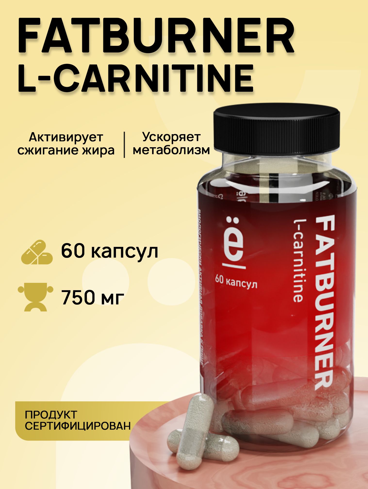 was ist l-carnitin 16  L- 2026:     -         ,             