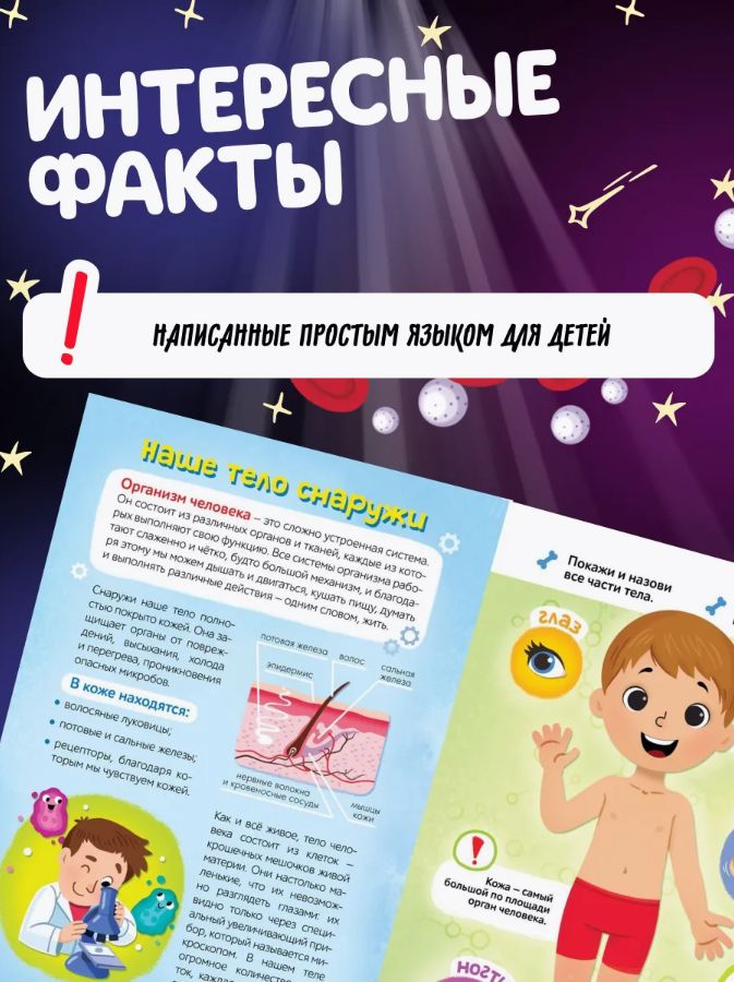 Книжка с фонариком, Буква-Ленд, "Тело человека", книги для детей 3+ | Bukva-Lend Cardboard Flashlight Book for Toddlers - Ozon image 3
