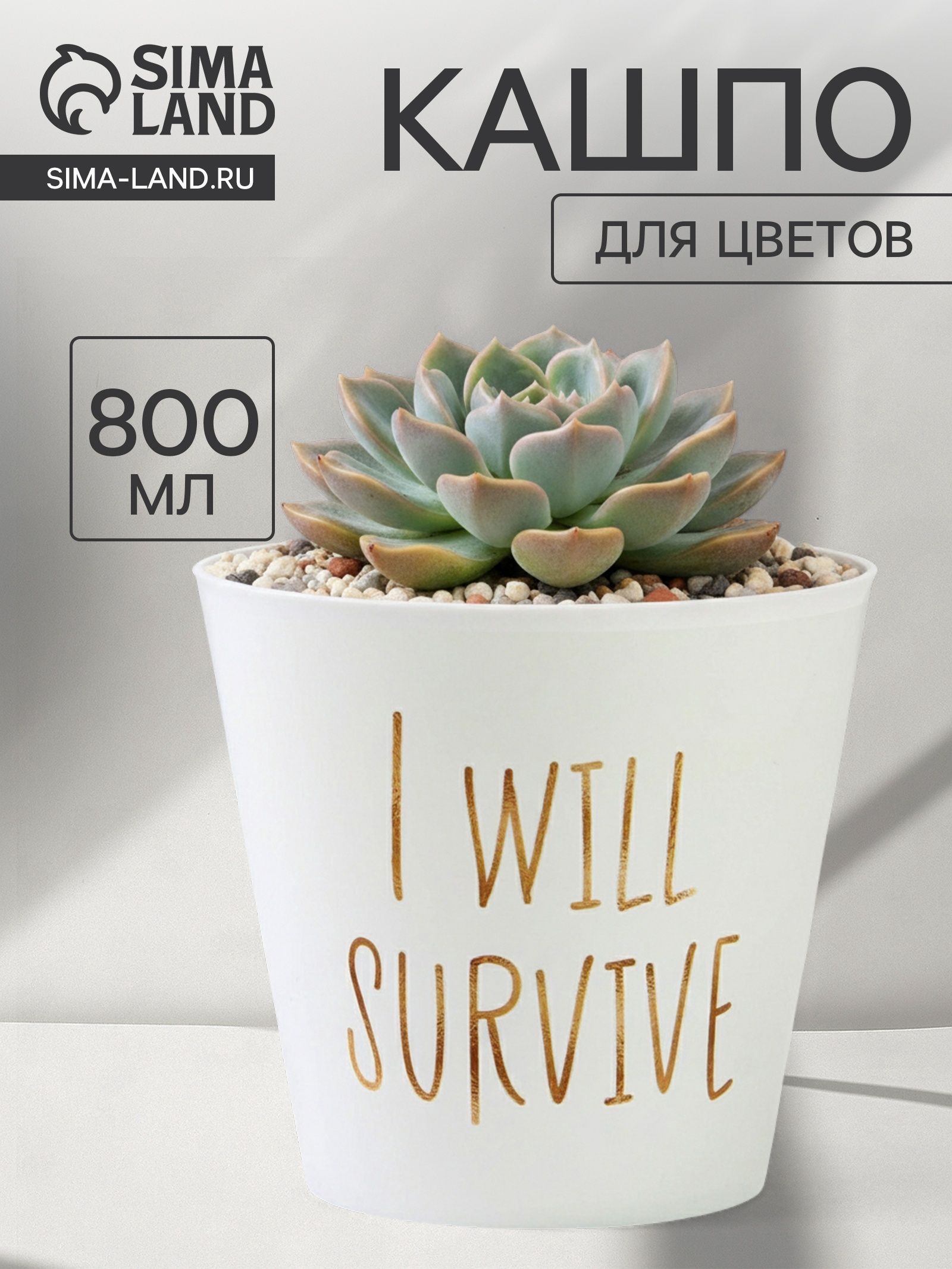 Кашпо для цветов Я выживу , 800 мл, d 12 см, h 11 см, пластиковое