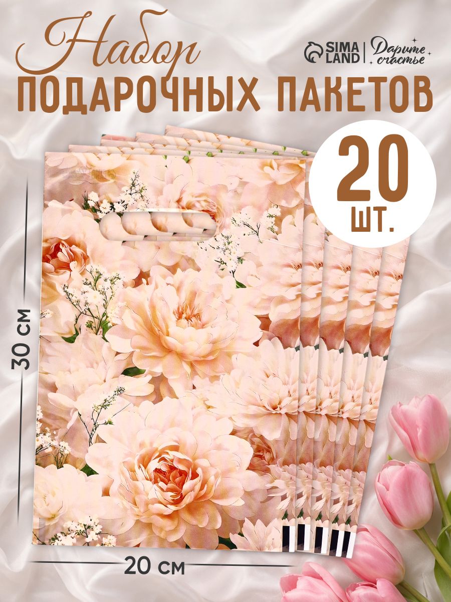Подарочные пакеты, набор 20 шт, 20 х 30 см