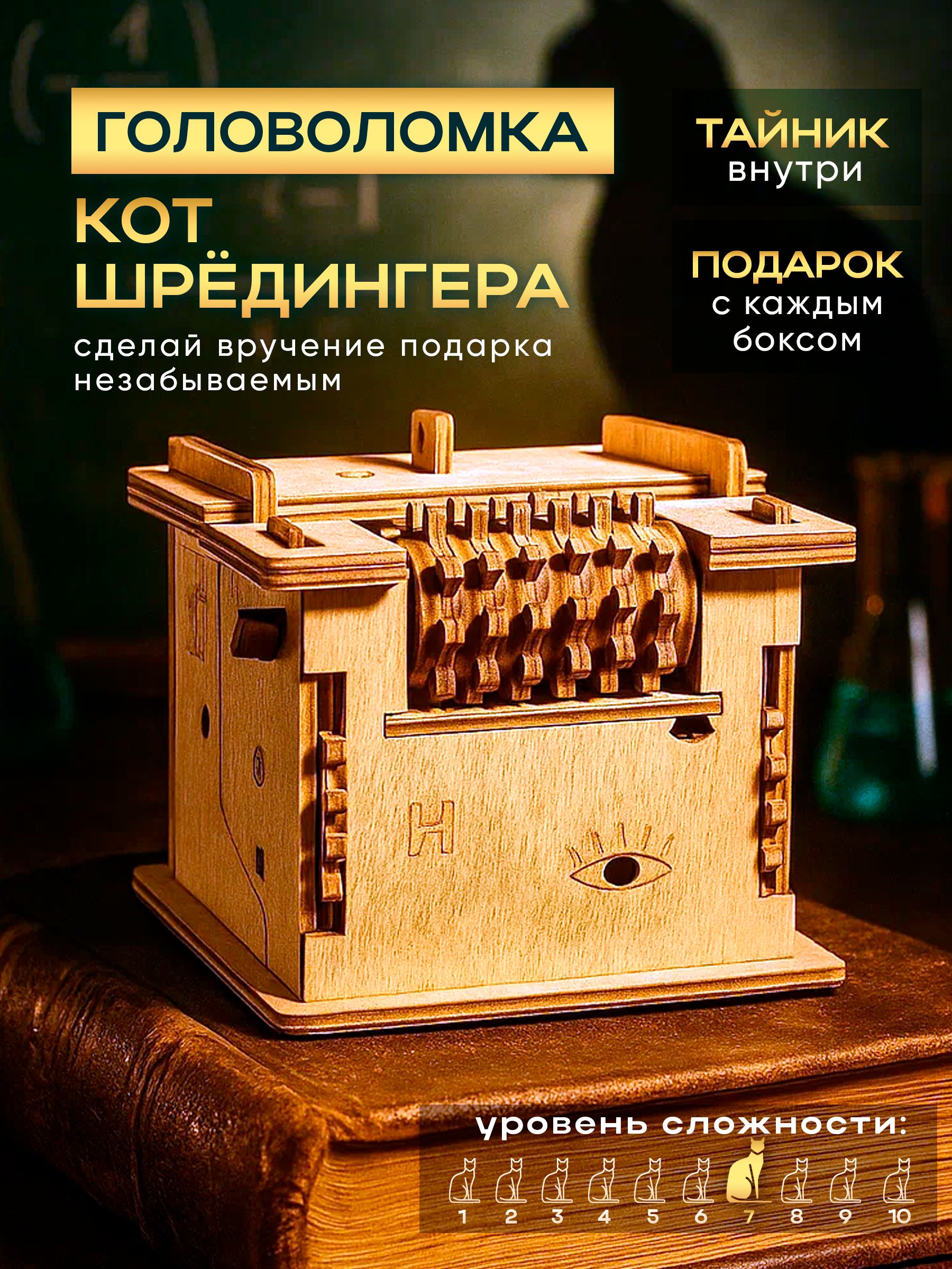 Головоломка для взрослых и детей, Квестбокс: Кот Шрёдингера купить