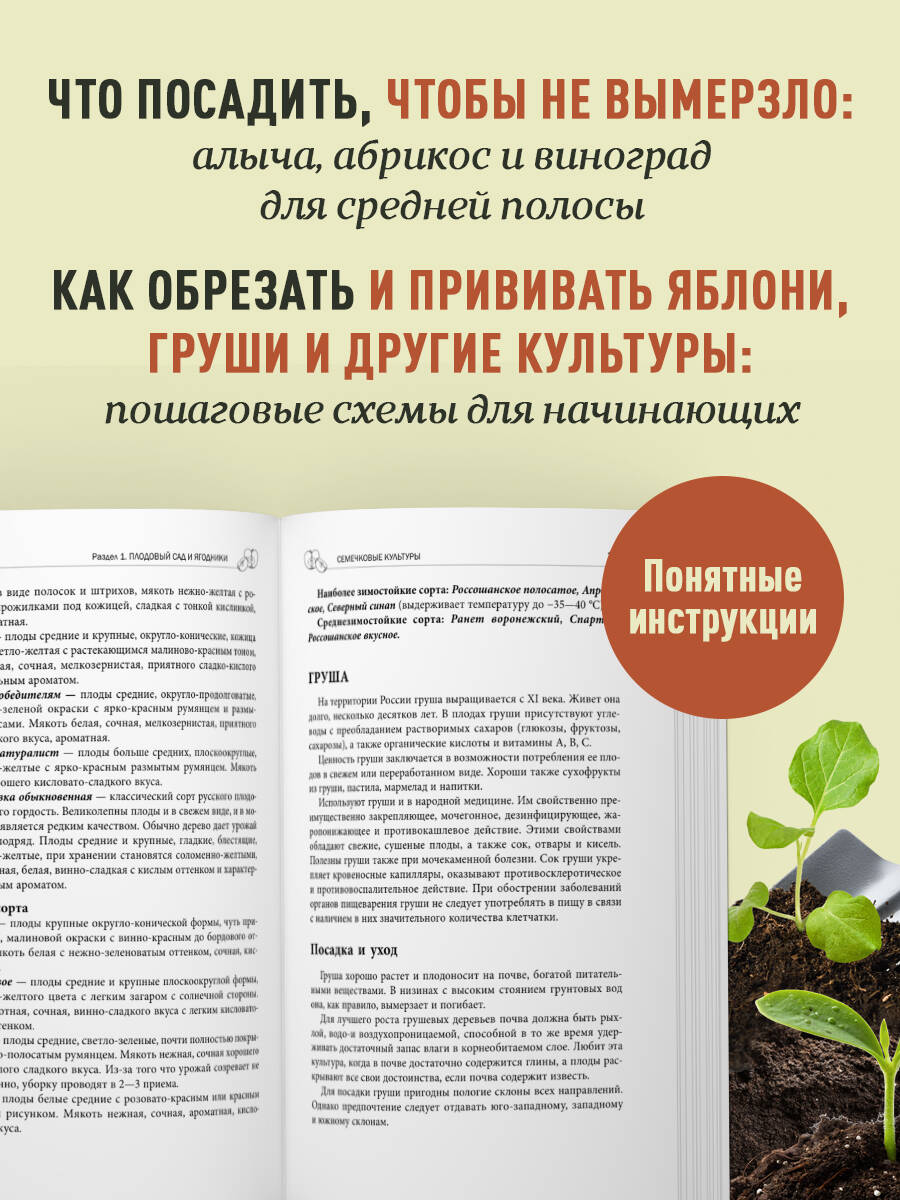 Дачная библия садовода и огородника (новое оформление) | The Gardener's and Gardener's Bible (New Edition) - Ozon image 2