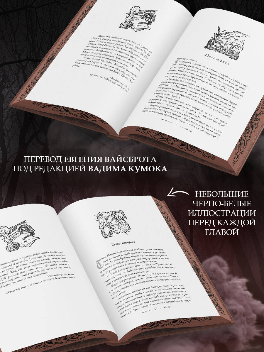 Кровь эльфов | Blood of Elves - Ozon image 4