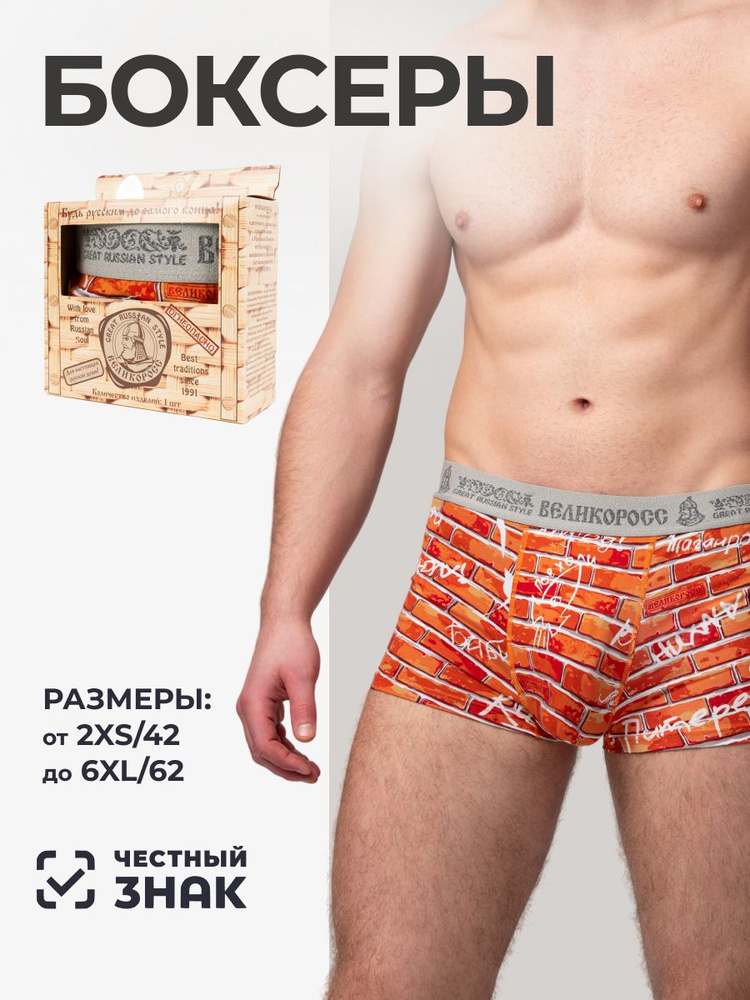 Трусы боксеры Великоросс, 1 шт #1