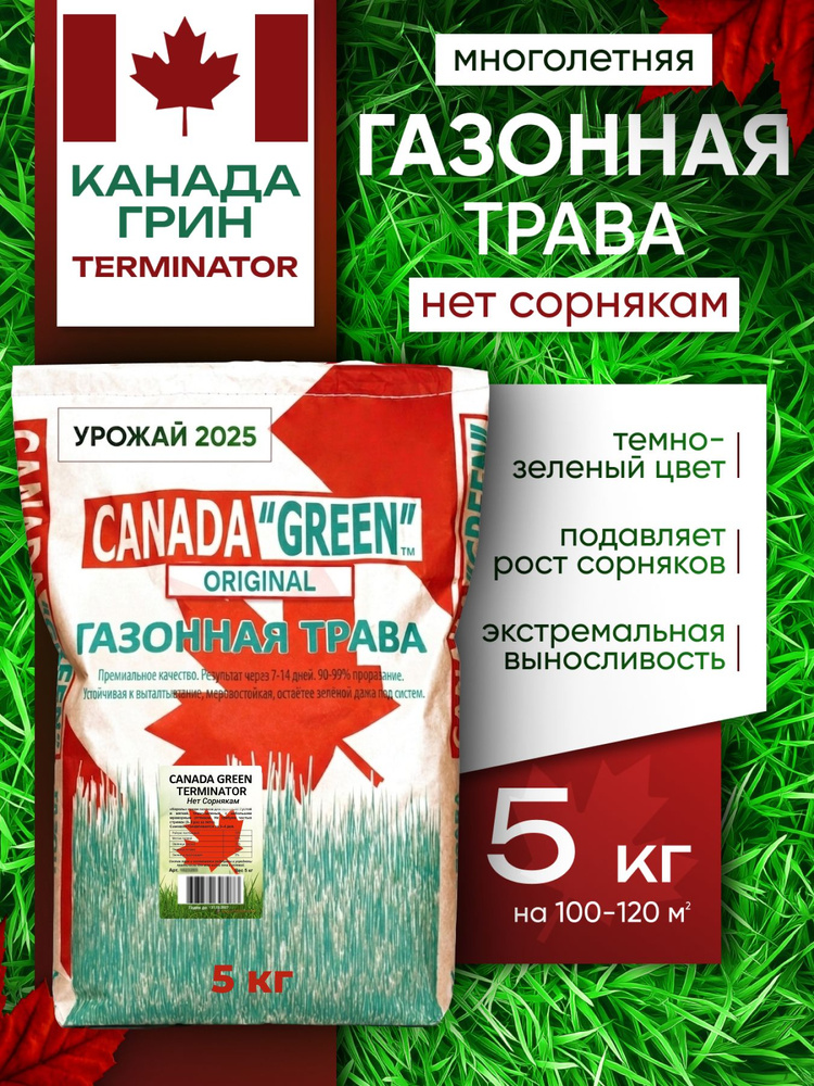 Газонная трава семена Канада Грин, травосмесь Нет сорнякам 5 кг / Canada Green Terminator 5 кг #1