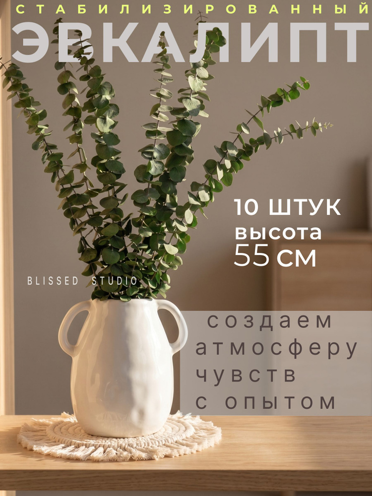 Сухоцветы для декора эвкалипт стабилизированный #1