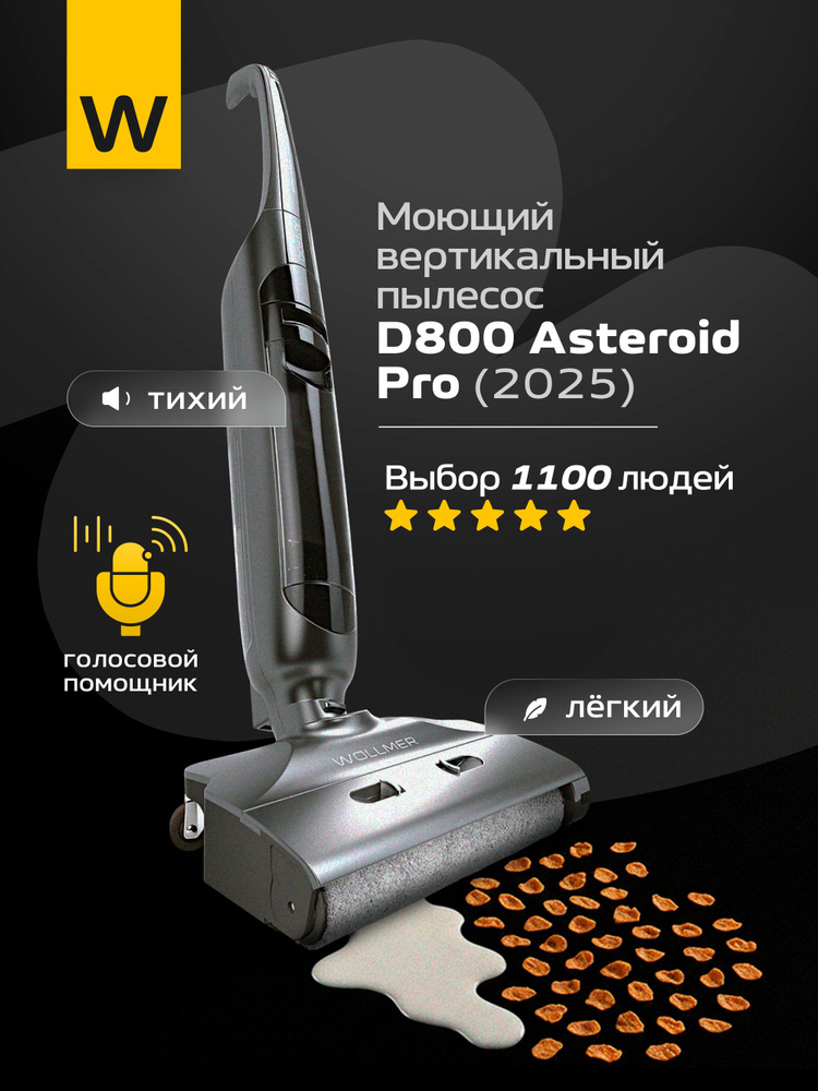 Моющий вертикальный пылесос Wollmer D800 Asteroid #1