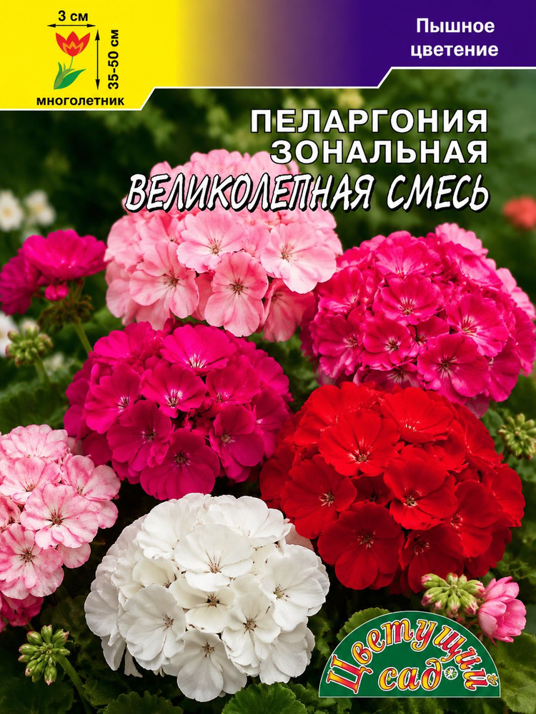 Пеларгония (Герань) ВЕЛИКОЛЕПНАЯ смесь (Семена Цветущий Сад, 0,03 г семян в упаковке) #1
