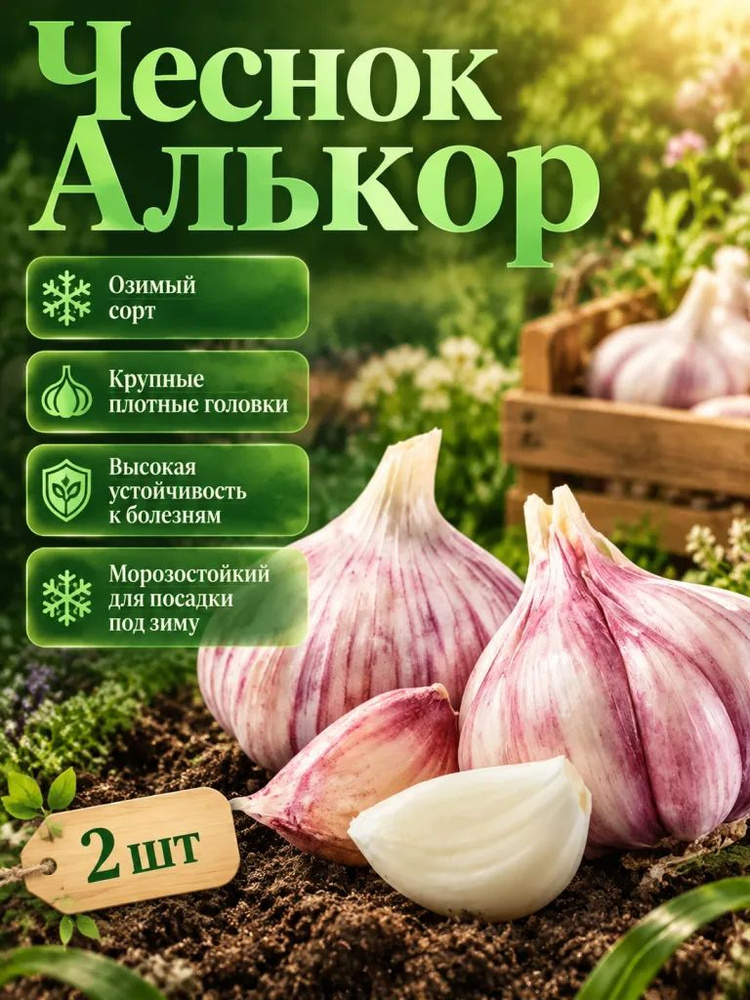Семена ,2шт #1