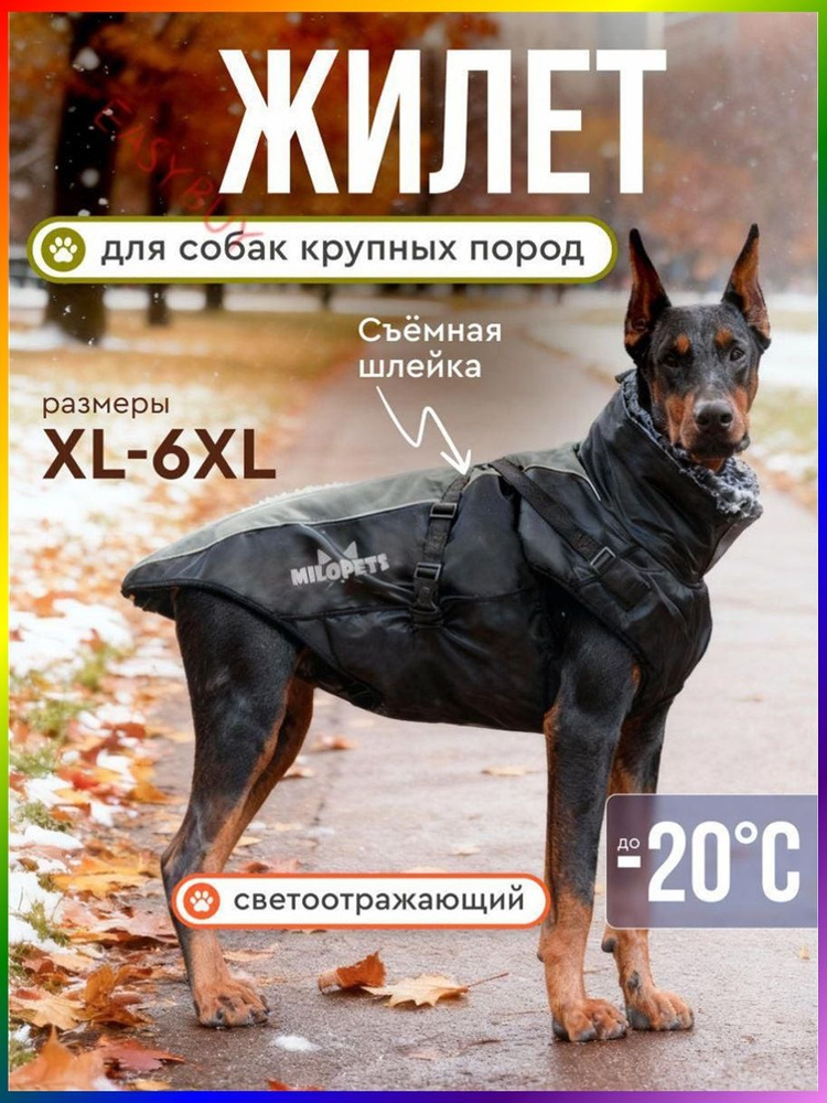 Одежда для животных #1