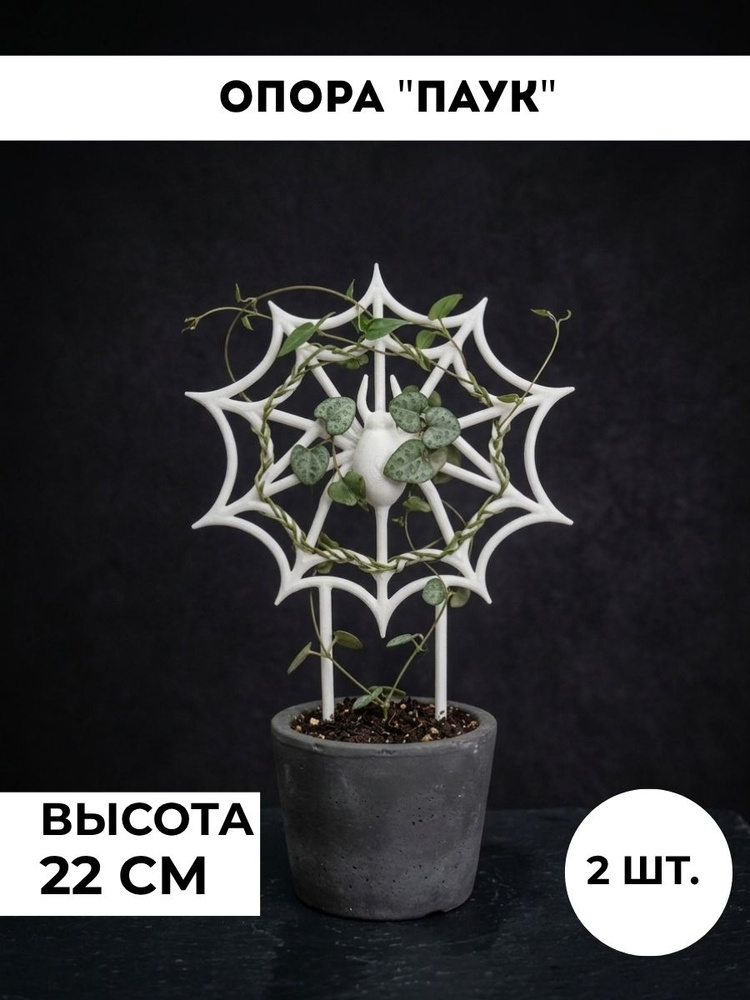 Шпалера #1