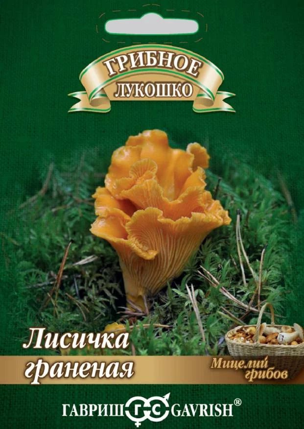 Гавриш Семена #1