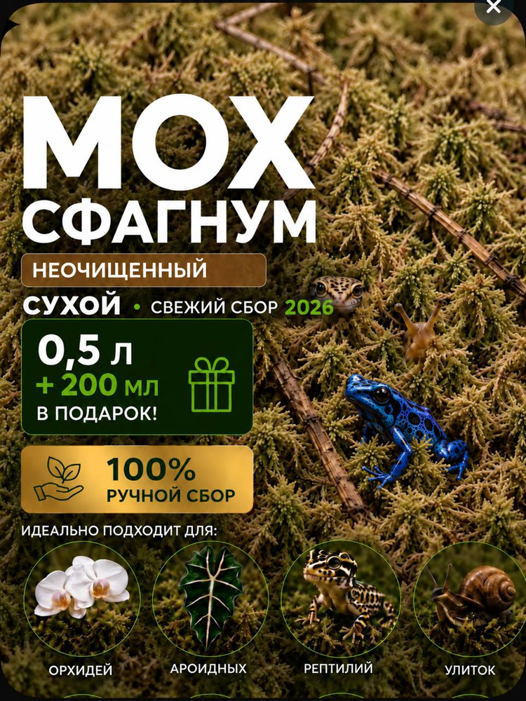 Мох Сфагнум живой свежий бурый не очищенный 0,7 литра для орхидей , улиток , ахатин, рептилий , растений #1