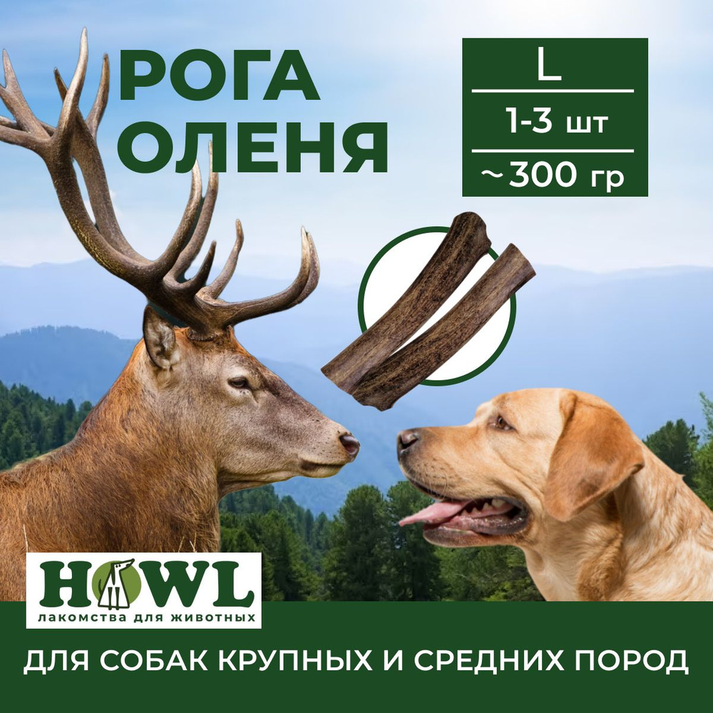 Рога северного оленя № 3 для собак