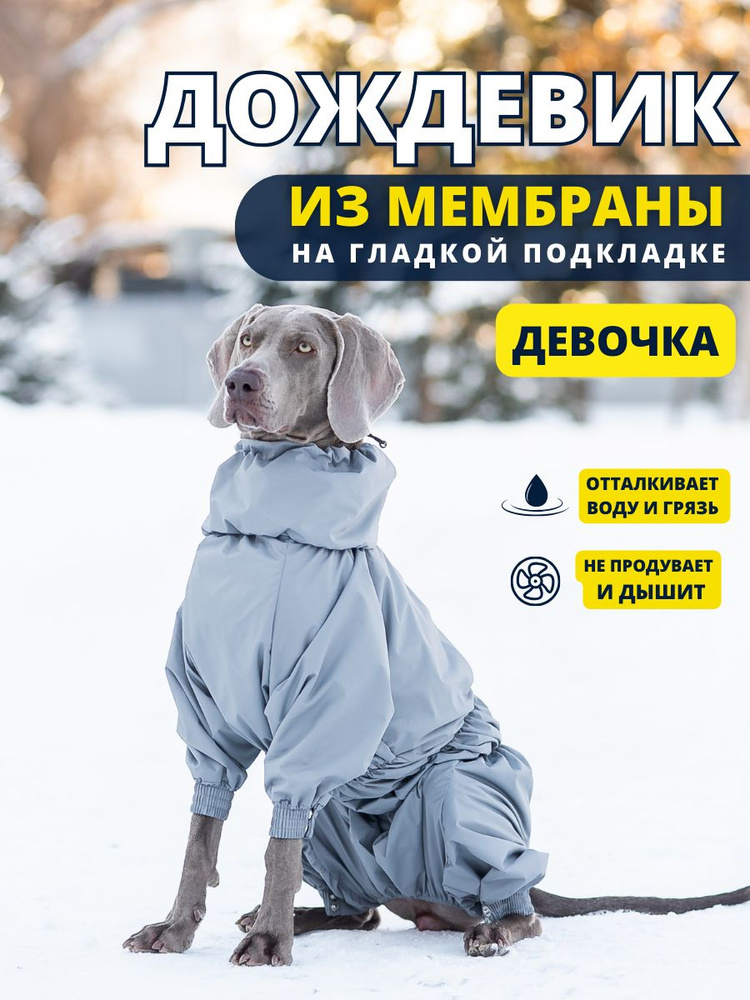 Комбинезон дождевик для собак средних пород STORM plus, 55+ж (сука), серый, 4XL+  #1
