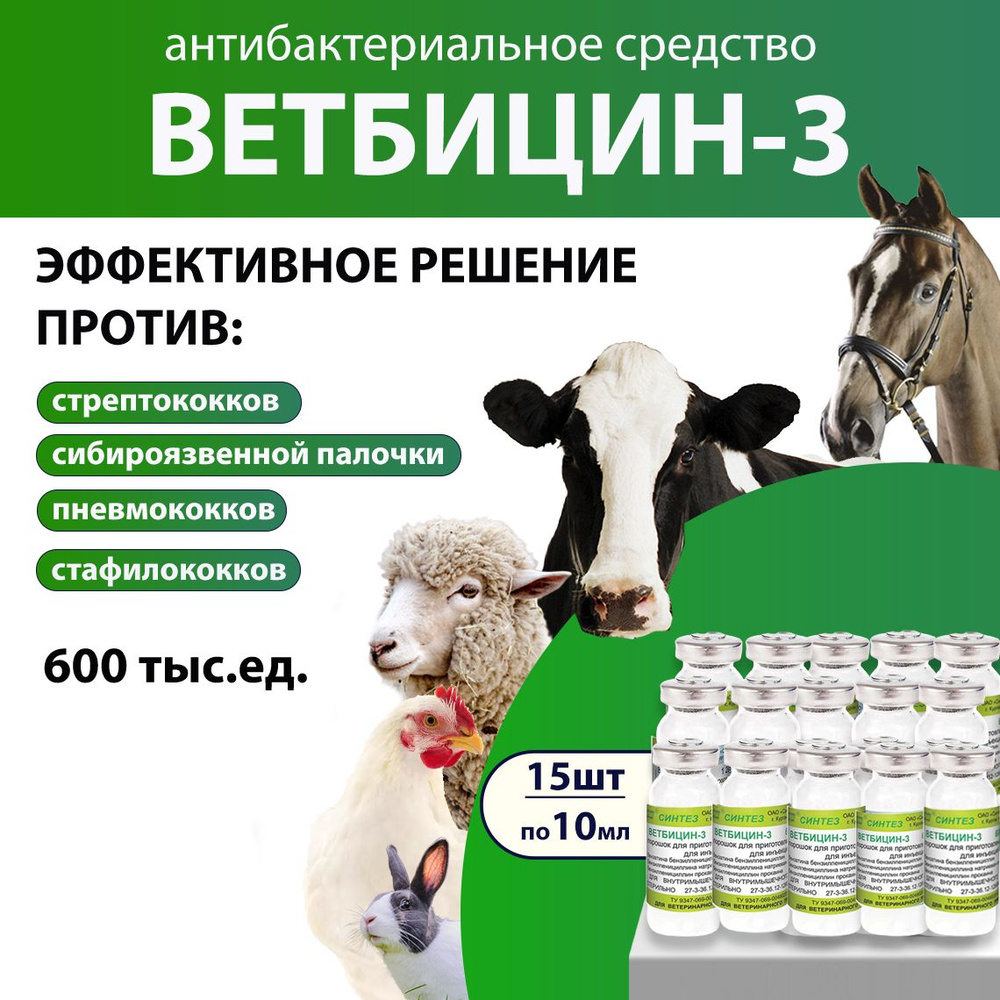 Ветбицин 3 (600 тыс. ЕД) комплексное антибактериальное средство 10мл, 15  штук - купить с доставкой по выгодным ценам в интернет-магазине OZON  (599386997)