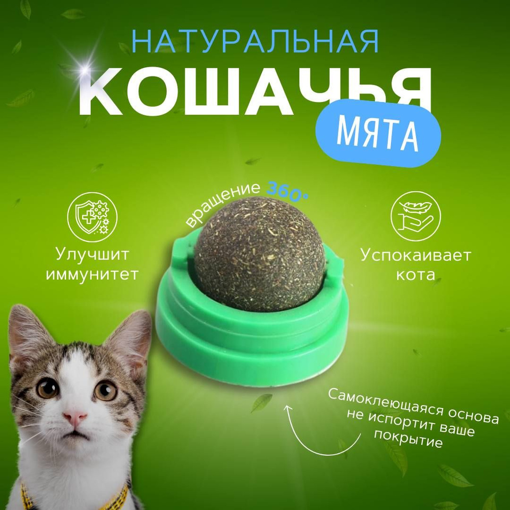 Кошачья мята / Шарик с кошачьей мятой на стену / Лакомство для кошек -  купить с доставкой по выгодным ценам в интернет-магазине OZON (1400666335)