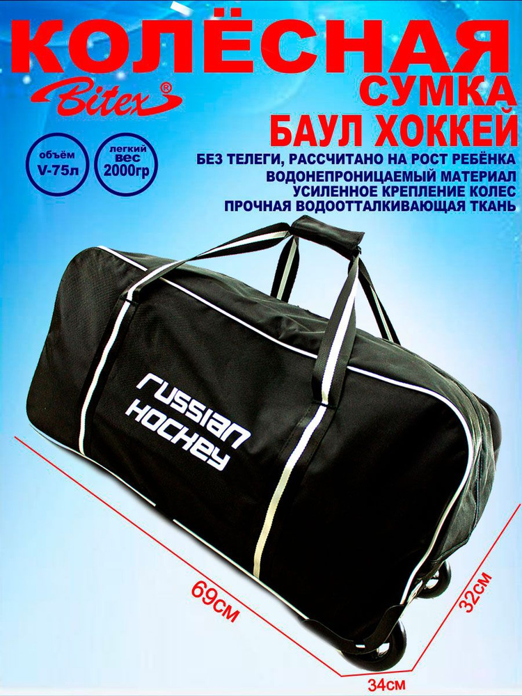 Bitex Хоккейный баул 24-201 - купить с доставкой по выгодным ценам в ...