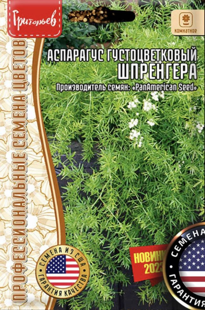 Аспарагус густоцветковый Шпренгера, семена 3 шт, 1 пакет, ЧК  #1