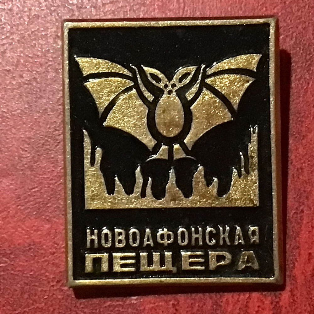 Значок СССР Новоафонская пещера - Летучая мышь Арт 51 - купить с ...
