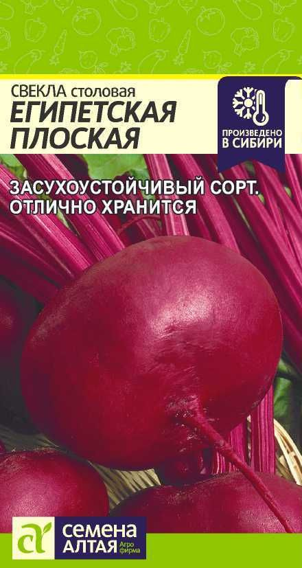 Свекла столовая "Египетская плоская" семена Алтая для открытого грунта и теплиц, 3 гр  #1