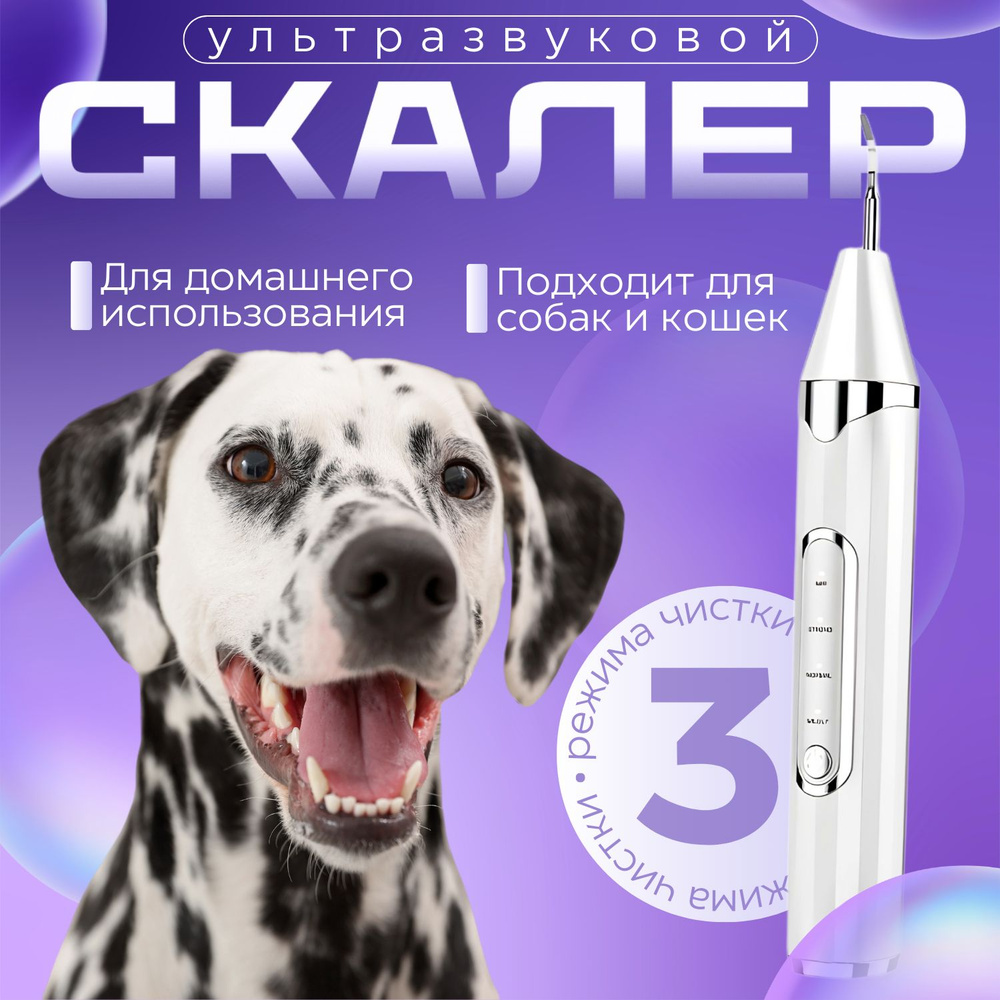 Скалер ультразвуковой для зубов, для собак, эффективное удаления ...