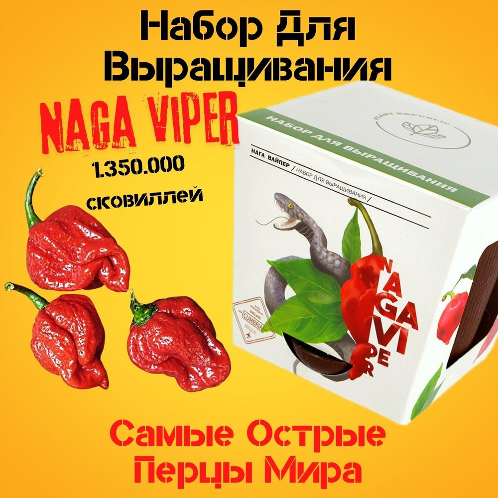 Набор для выращивания Plant Republic, Перец острый, Многолетник купить по  выгодной цене в интернет-магазине OZON (282472455)