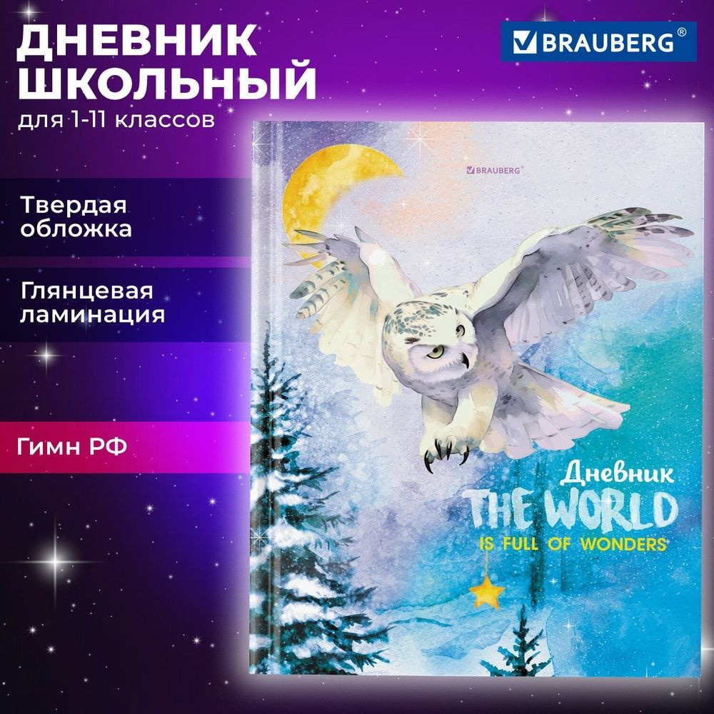 Дневник школьный Brauberg 1-11 класс, 40 листов, твердый, "Сова"  #1