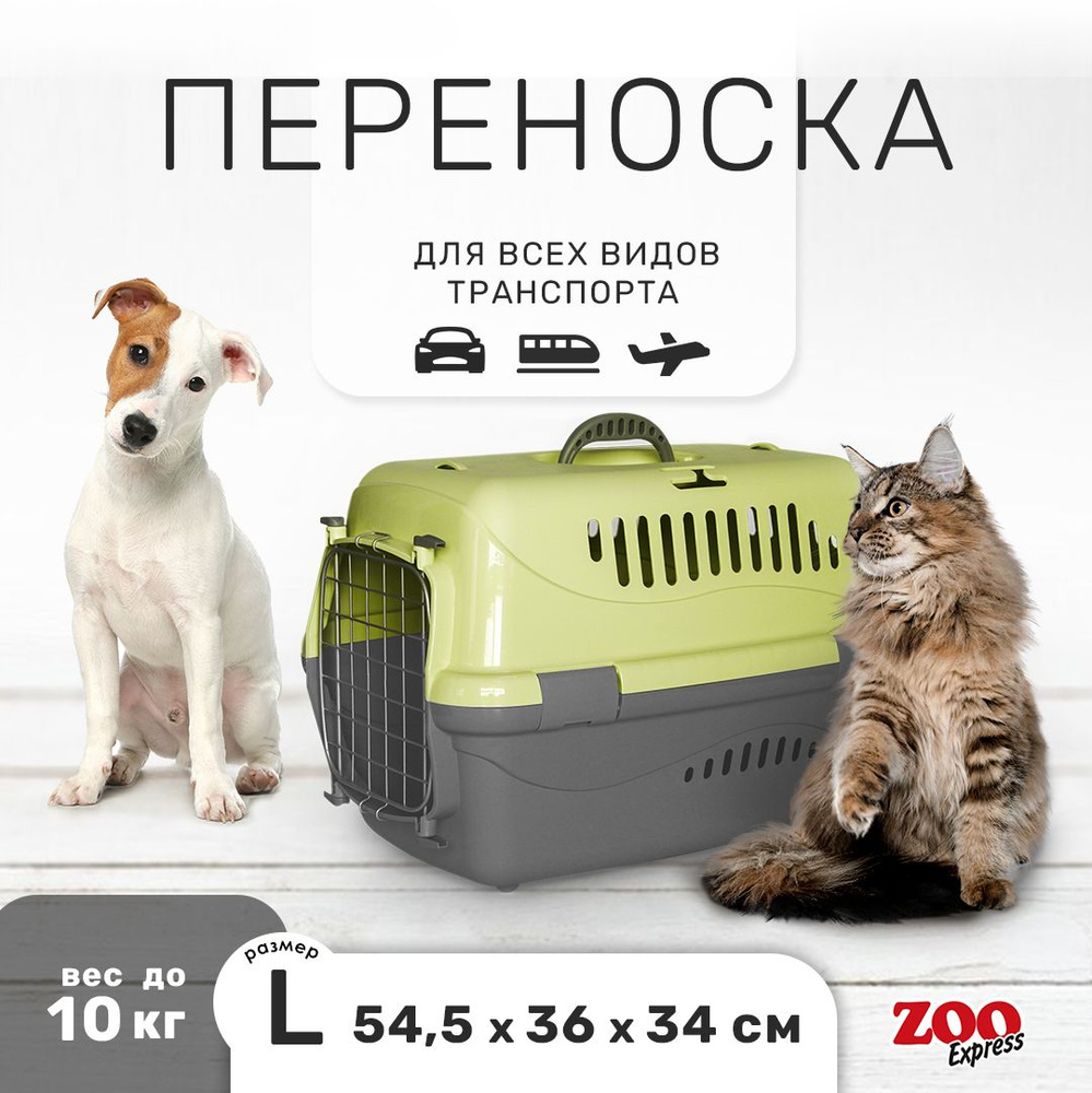 Переноска для кошек и собак ZOOexpress Турне 54,5х36х34 см (L), дверца с фиксацией, зелёная  #1