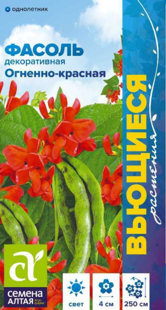 Семена Фасоль вьющаяся Огненно-красная 5 гр. #1