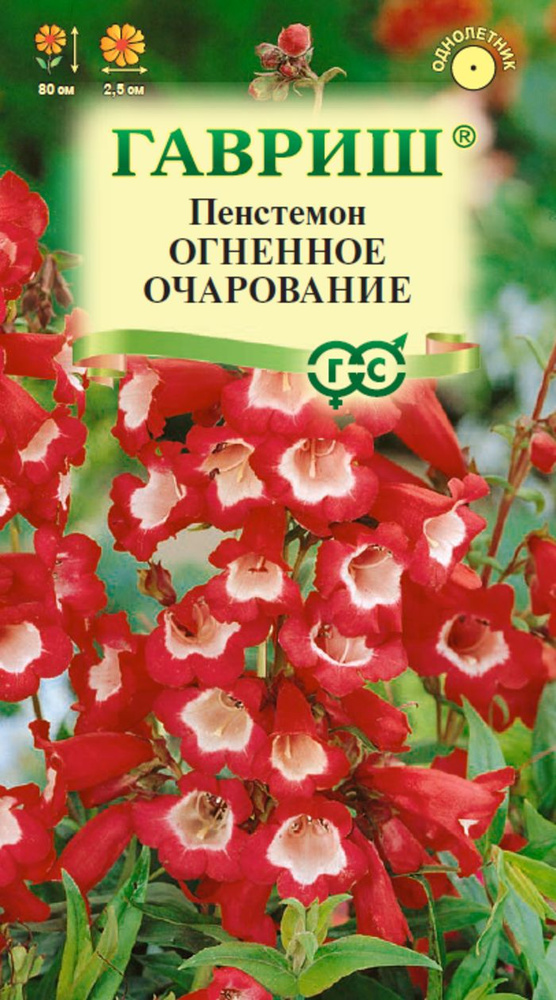 Семена Пенстемон гибридный Огненное очарование 0,1 г #1