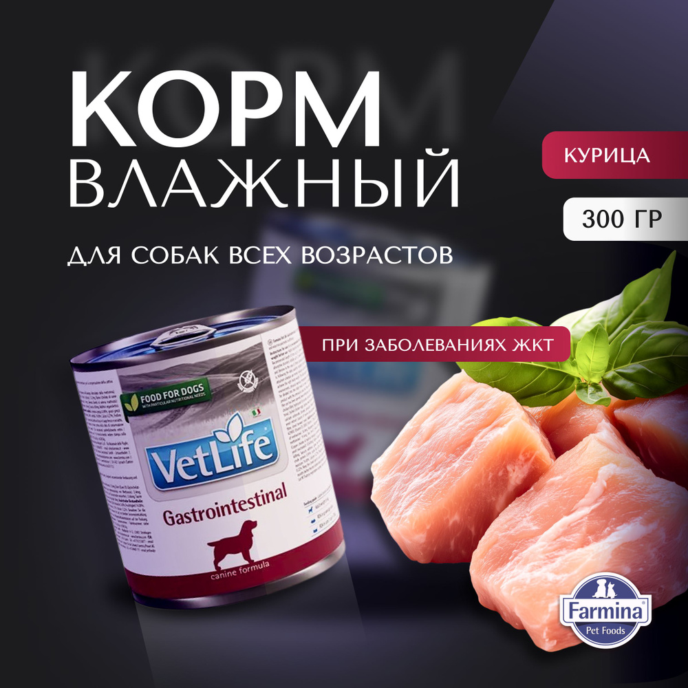 Влажный корм Farmina Vet Life Gastrointestinal для собак при заболеваниях ЖКТ, 300г  #1