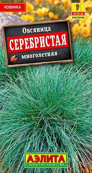 ОВСЯНИЦА СЕРЕБРИСТАЯ МНОГОЛЕТНЯЯ. Семена. Очаровательный многолетний злак.  #1