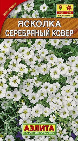 Семена Ясколка Серебряный ковер 0.1г Аэлита #1