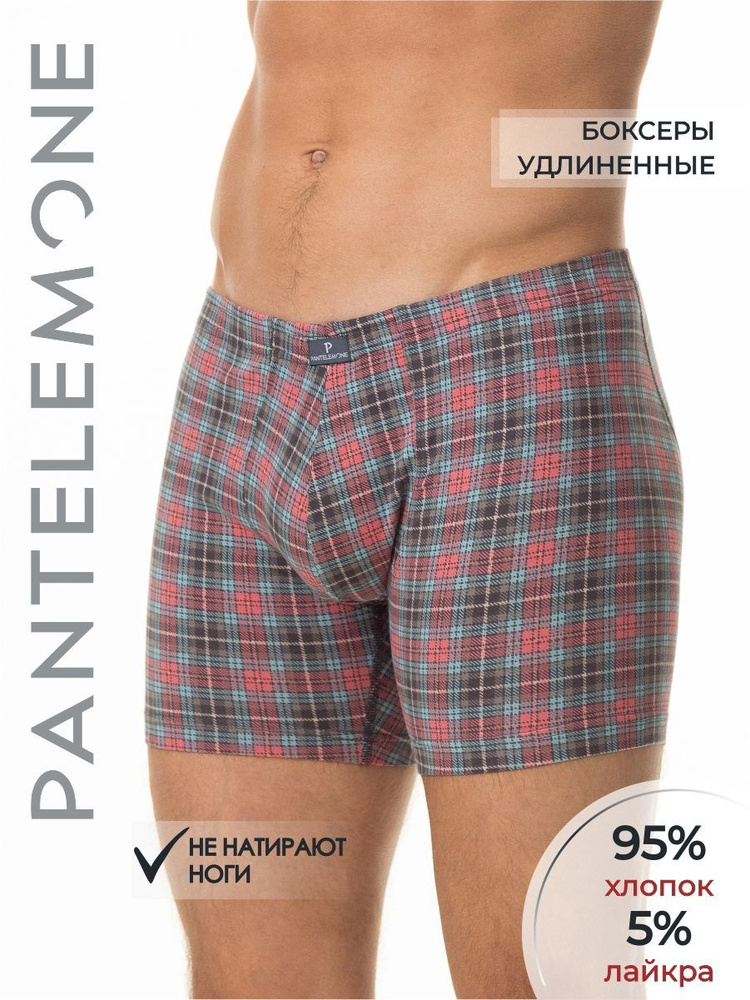 Трусы боксеры, шорты Pantelemone, 1 шт #1