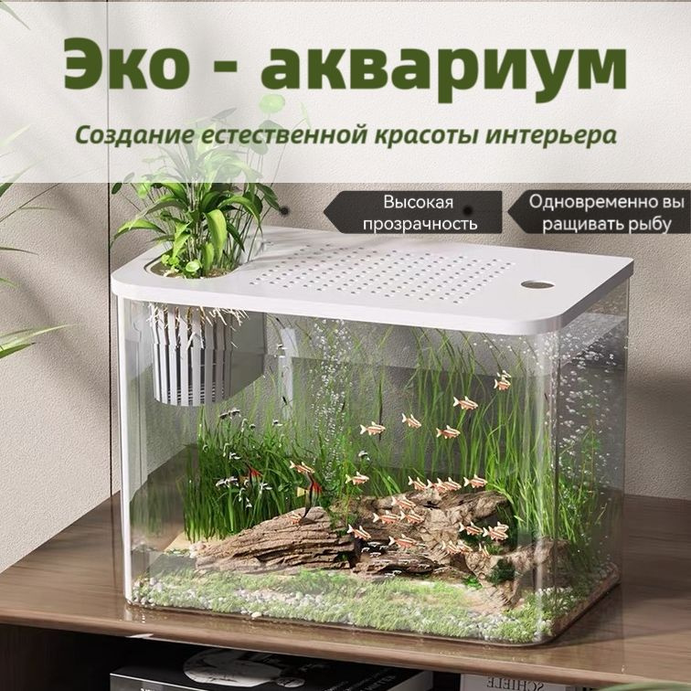 Аквариум #1